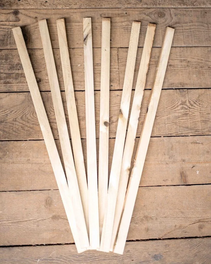 Cardboard Mounting Sticks