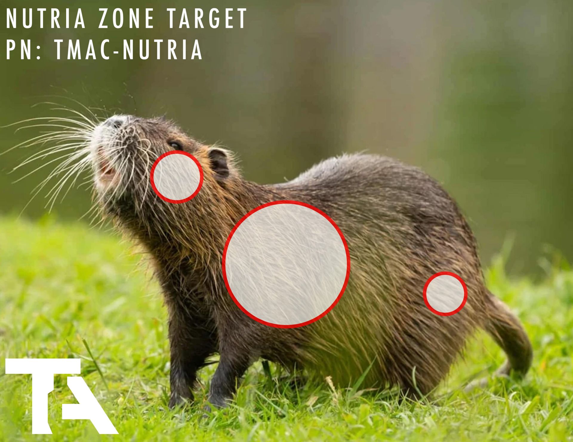 Free Animal Target - protect yourself from the nutria