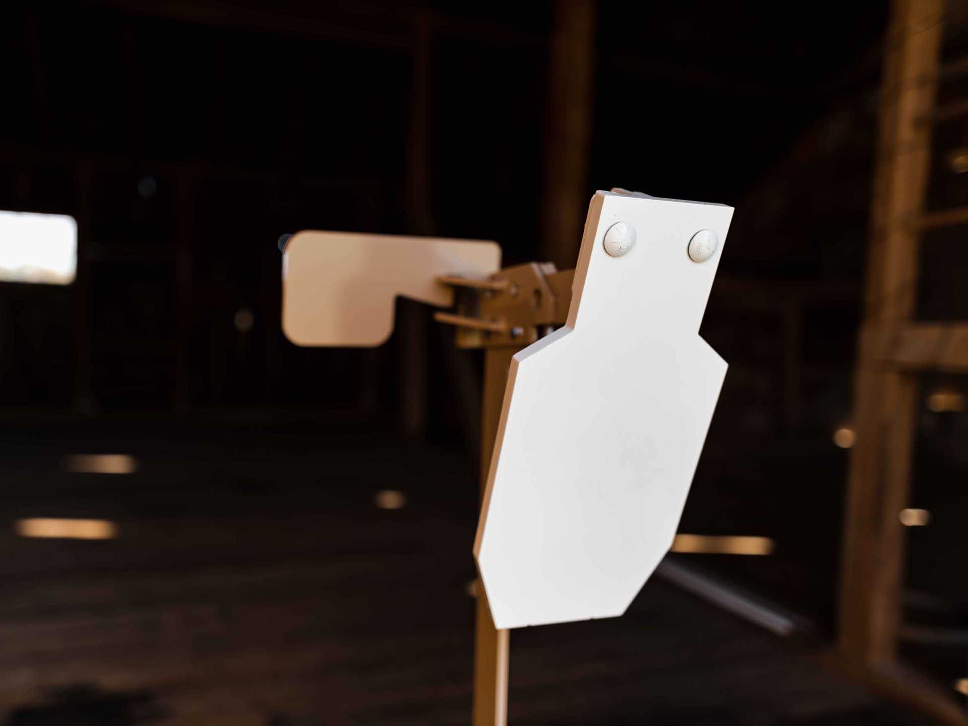 A-DAP Steel Target with an Hostage Target