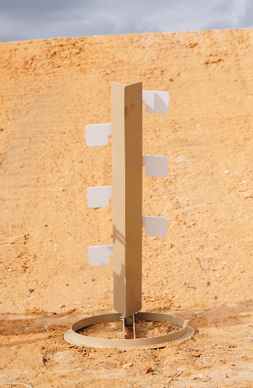 Dueling Tree at Paul Reserve