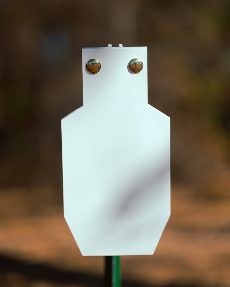 AR550 Shooting Targets reduced C Zone AR550 A-DAP Target Plate. 