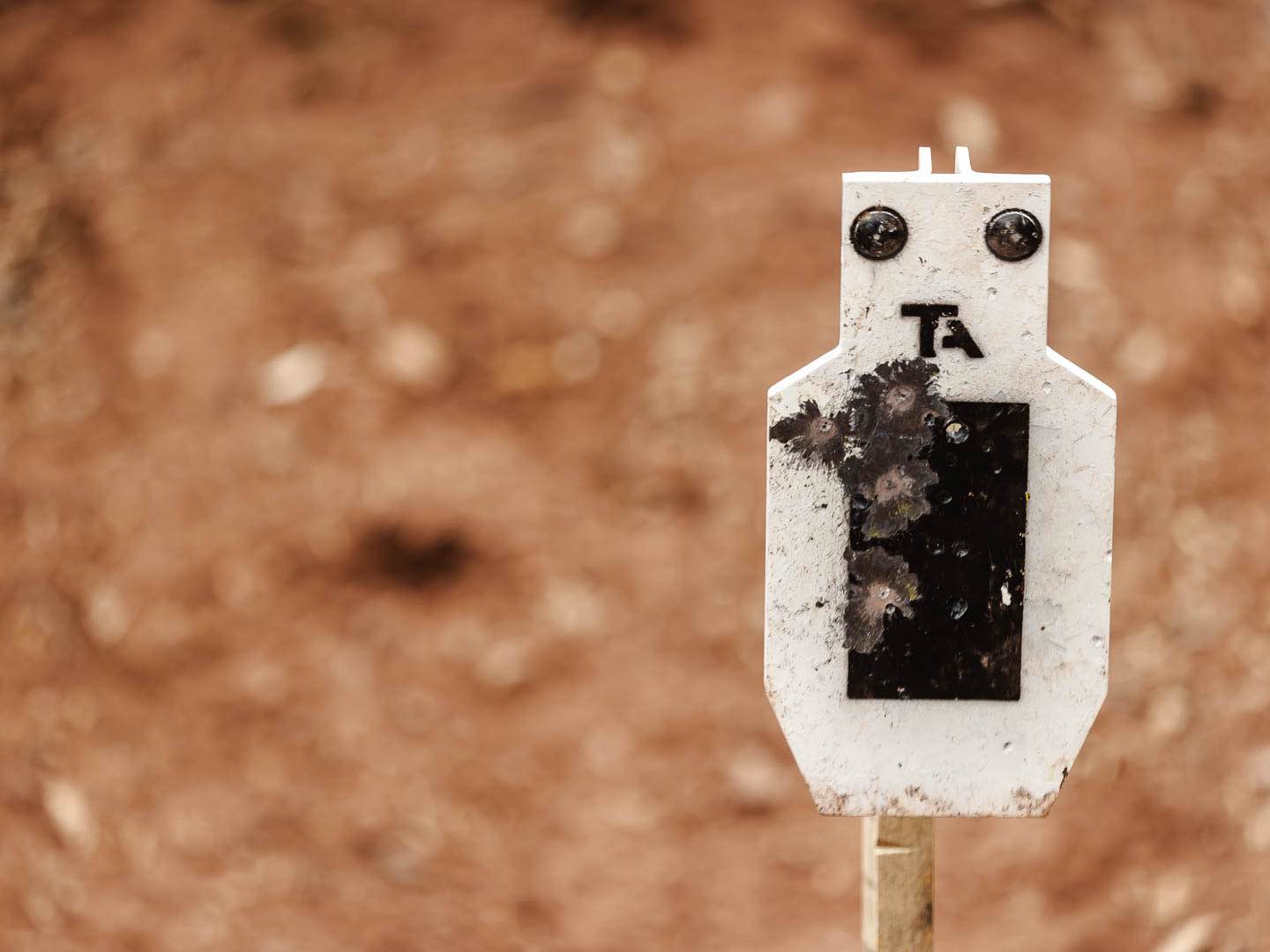 AR550 Steel Target Warranty test