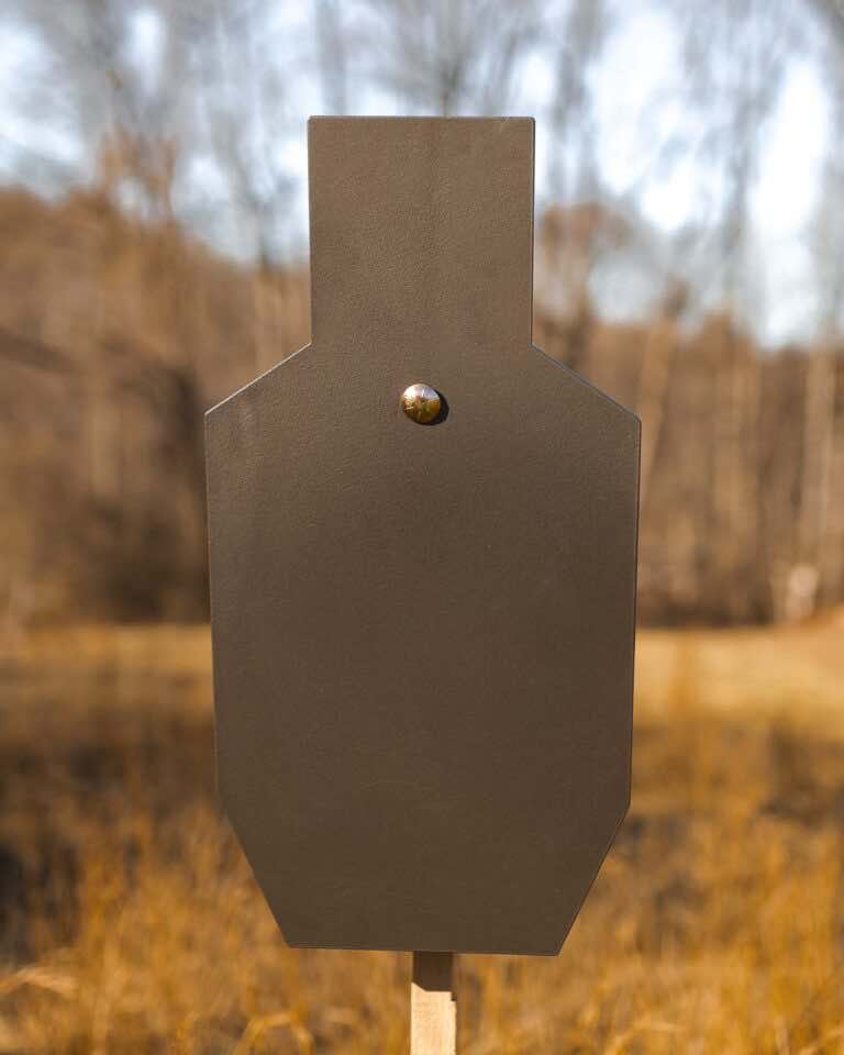 Genesis AR500 Steel C Zone target plate