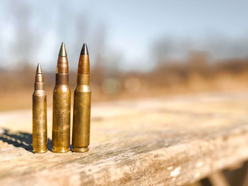 M855A1, M80A1, and M2 .30 Caliber Rounds