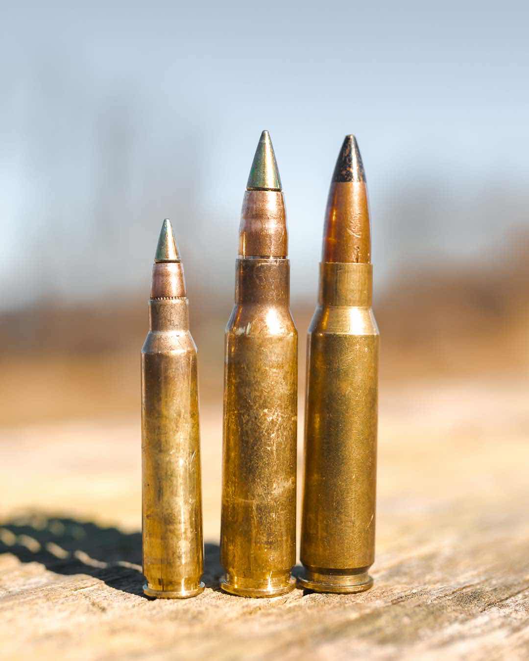 M855A1, M80A1, and M2 .30 Caliber Rounds