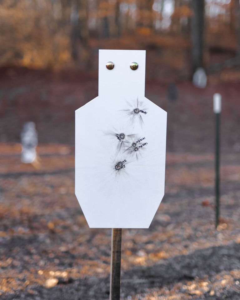 Exodus AR550 3/8" Steel Target System