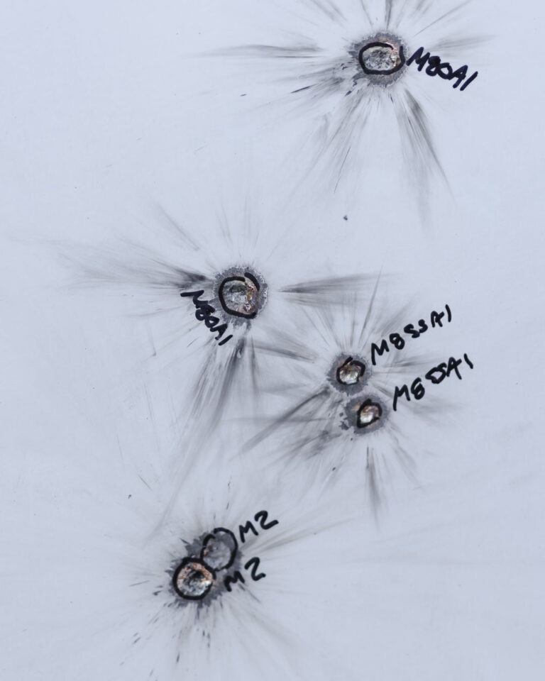 M2 VS AR550 Steel Target