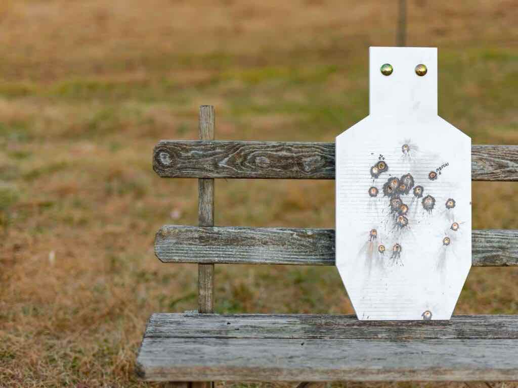 AR550 Steel Target with little to no damage