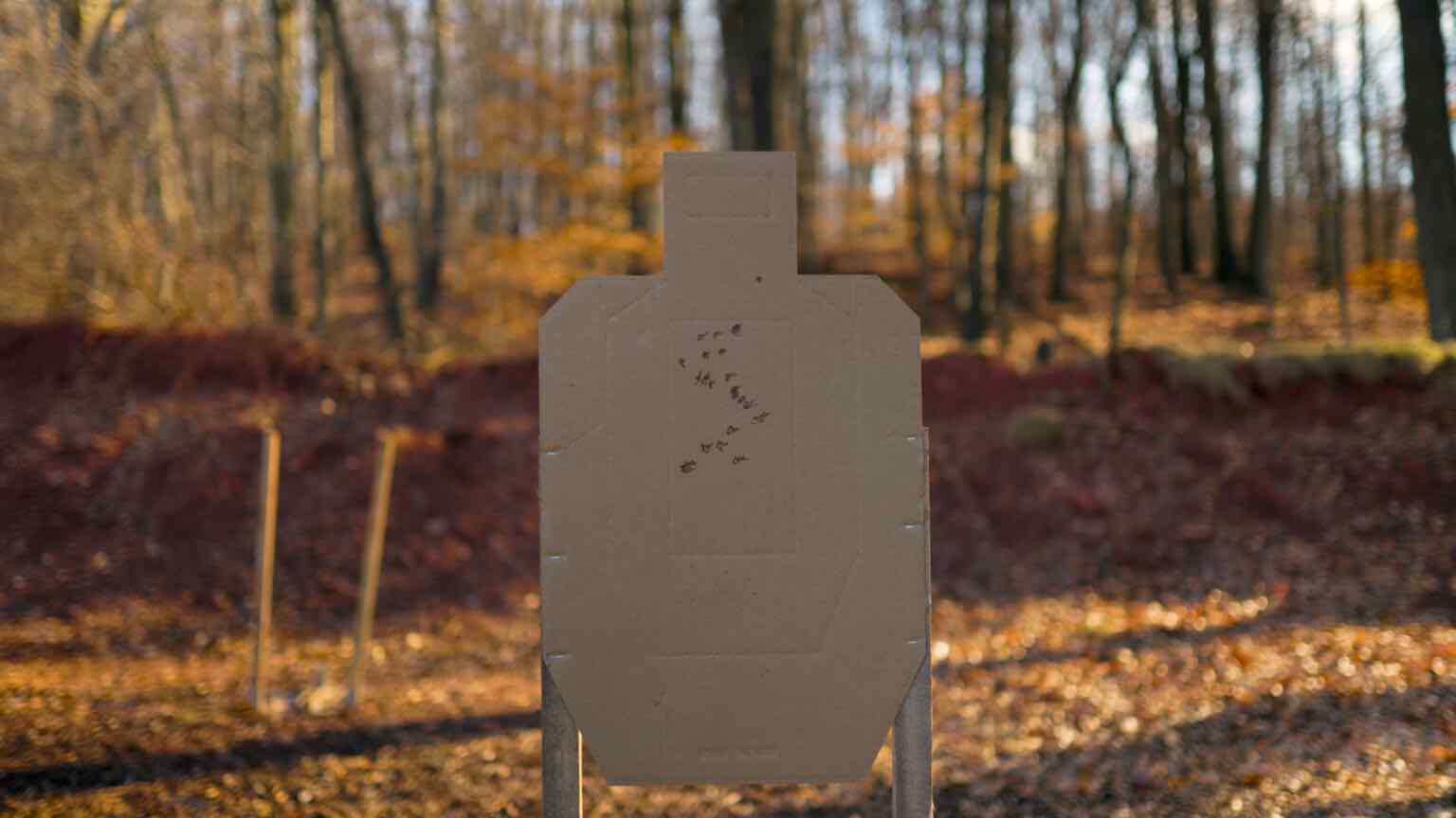 USPSA Targets used out on the range USPSA Targets used out on the range