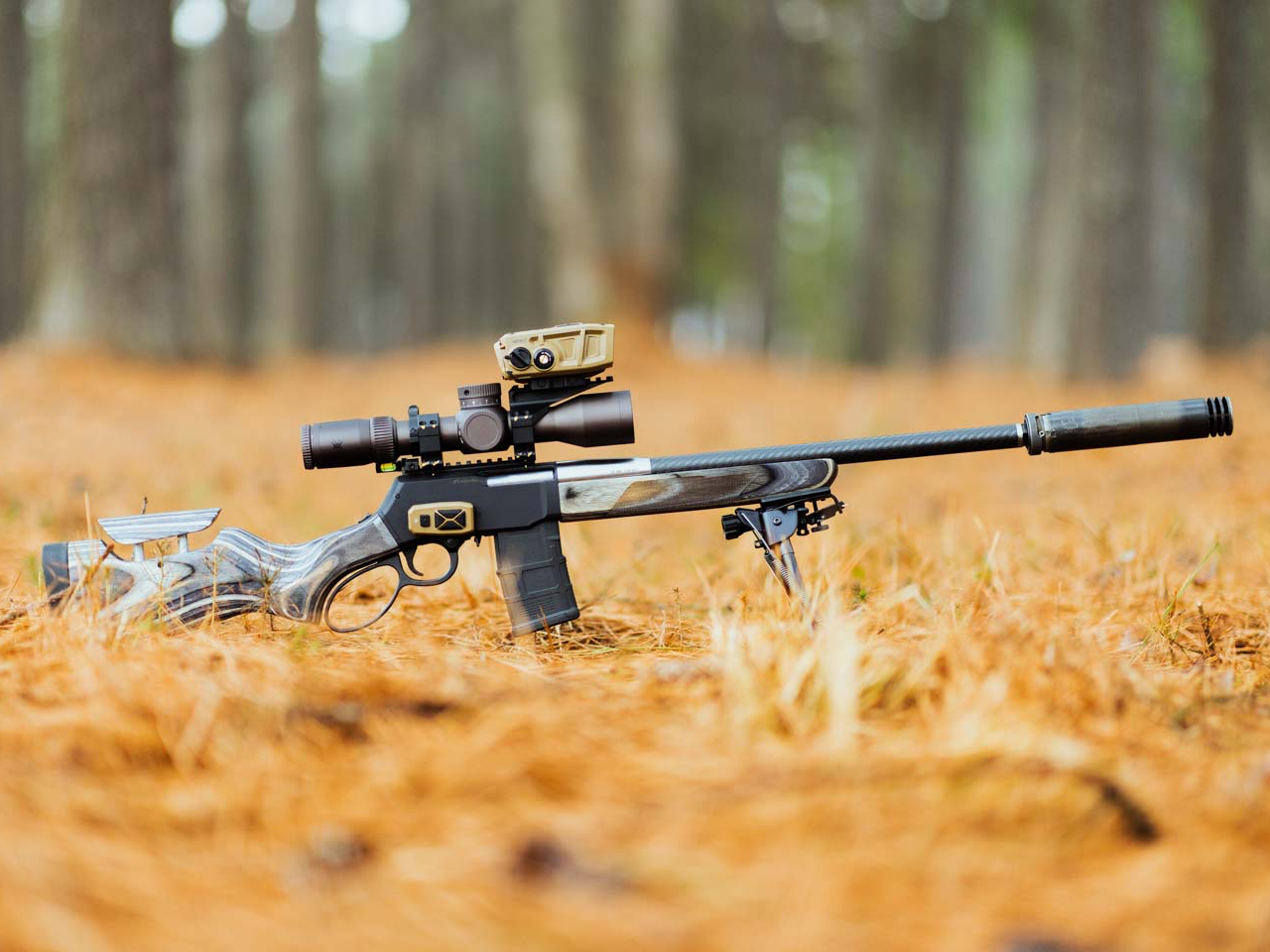 SPD Predator laying in the woods