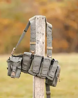 TREX Arms Quad Flap Chest Rig Shown.