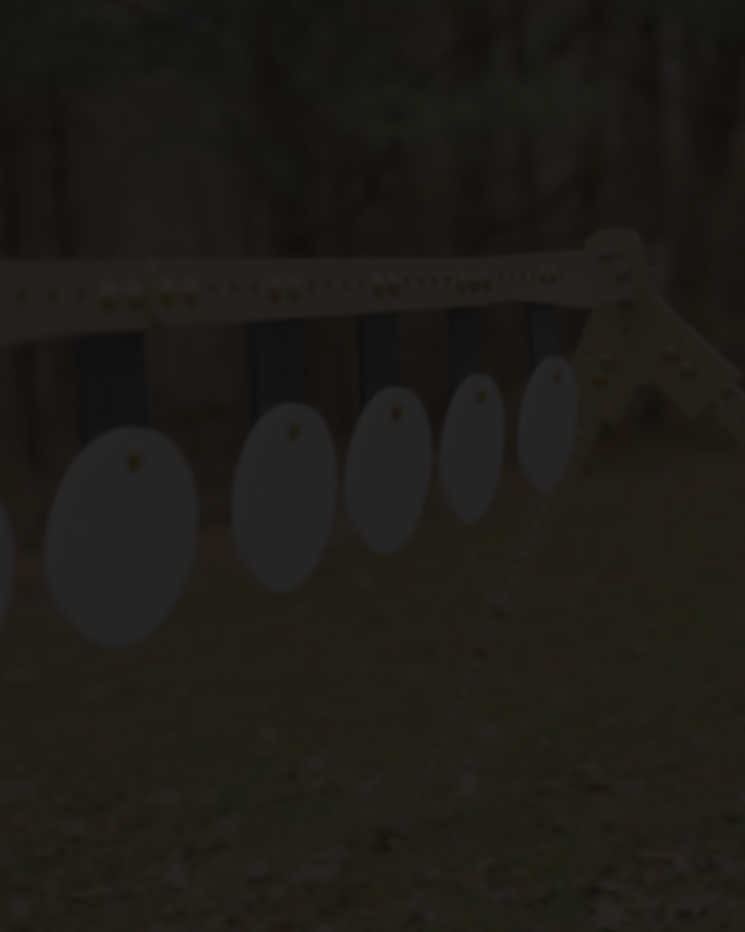 Easy Competition Steel Target Plate Rack