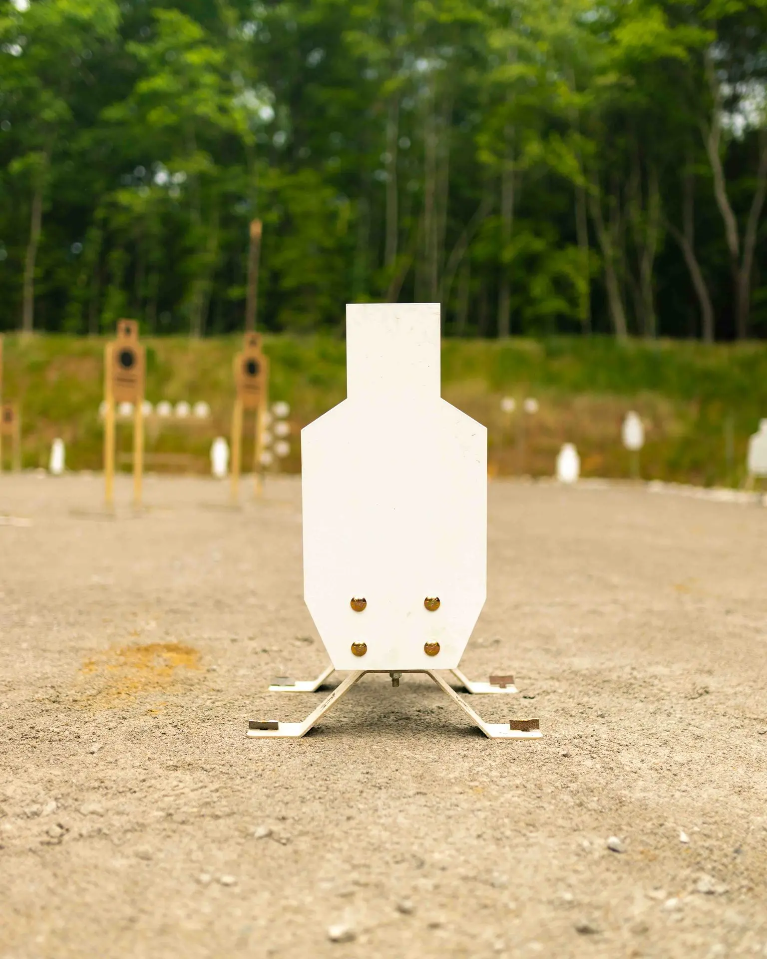 Reactive C-Zone System TA Targets VTAR Reactive C-Zone System
