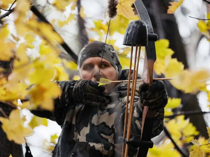 Archery hunting in the wilderness