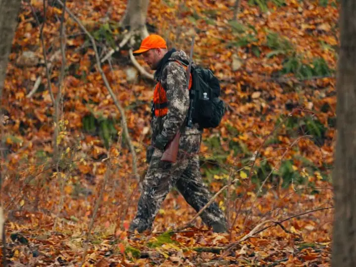 Walking through the PA wilderness