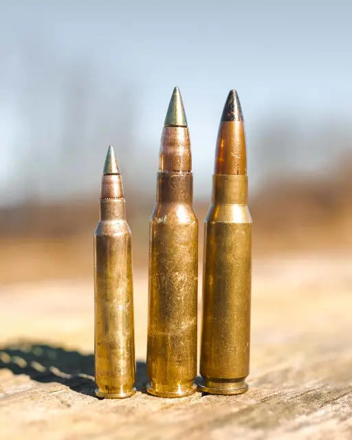 M855A1, M80A1, and M2 .30 Caliber Rounds