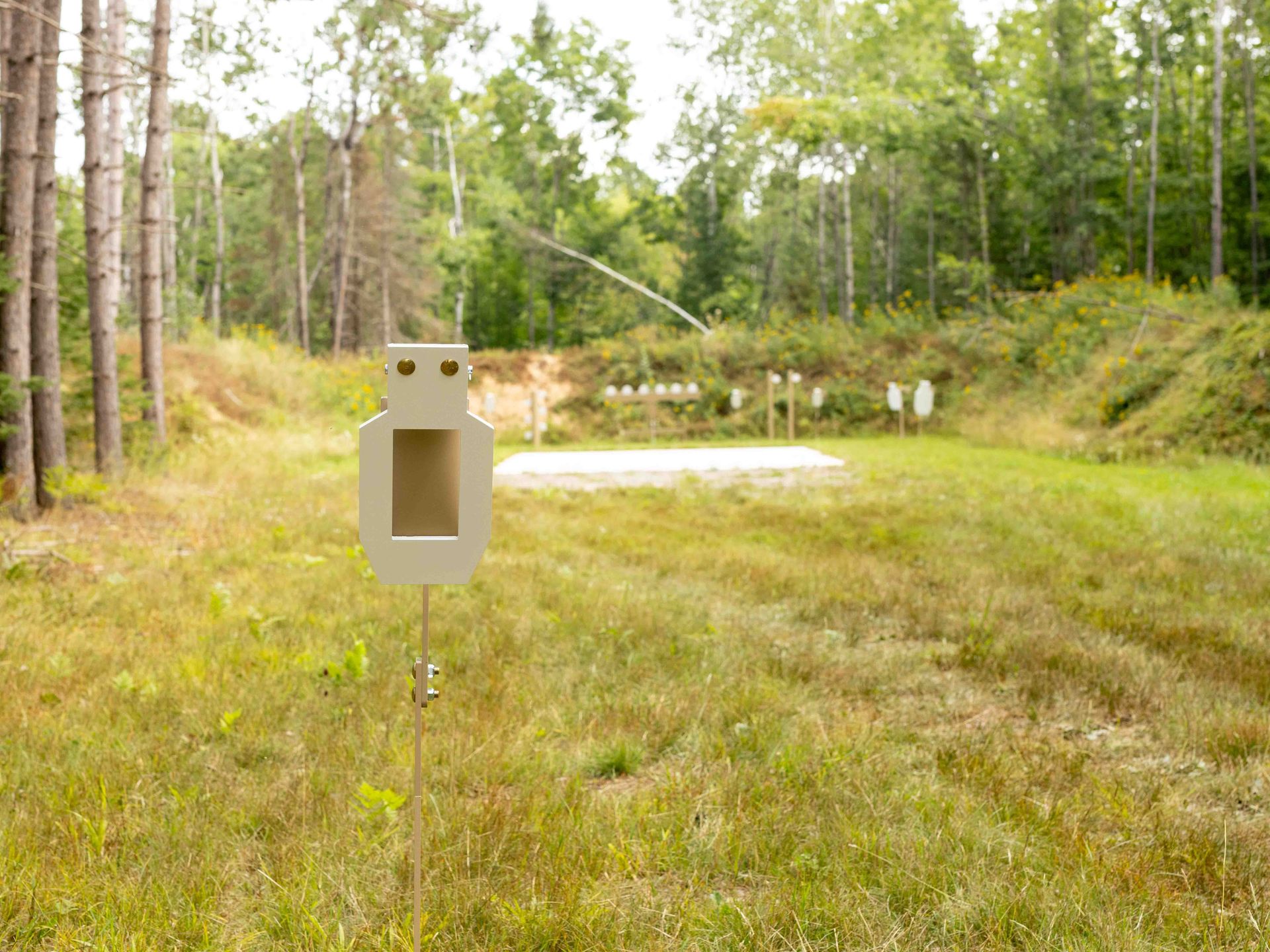 Mini Vital Target Mini Vital Zone Target at the 300 yard Range