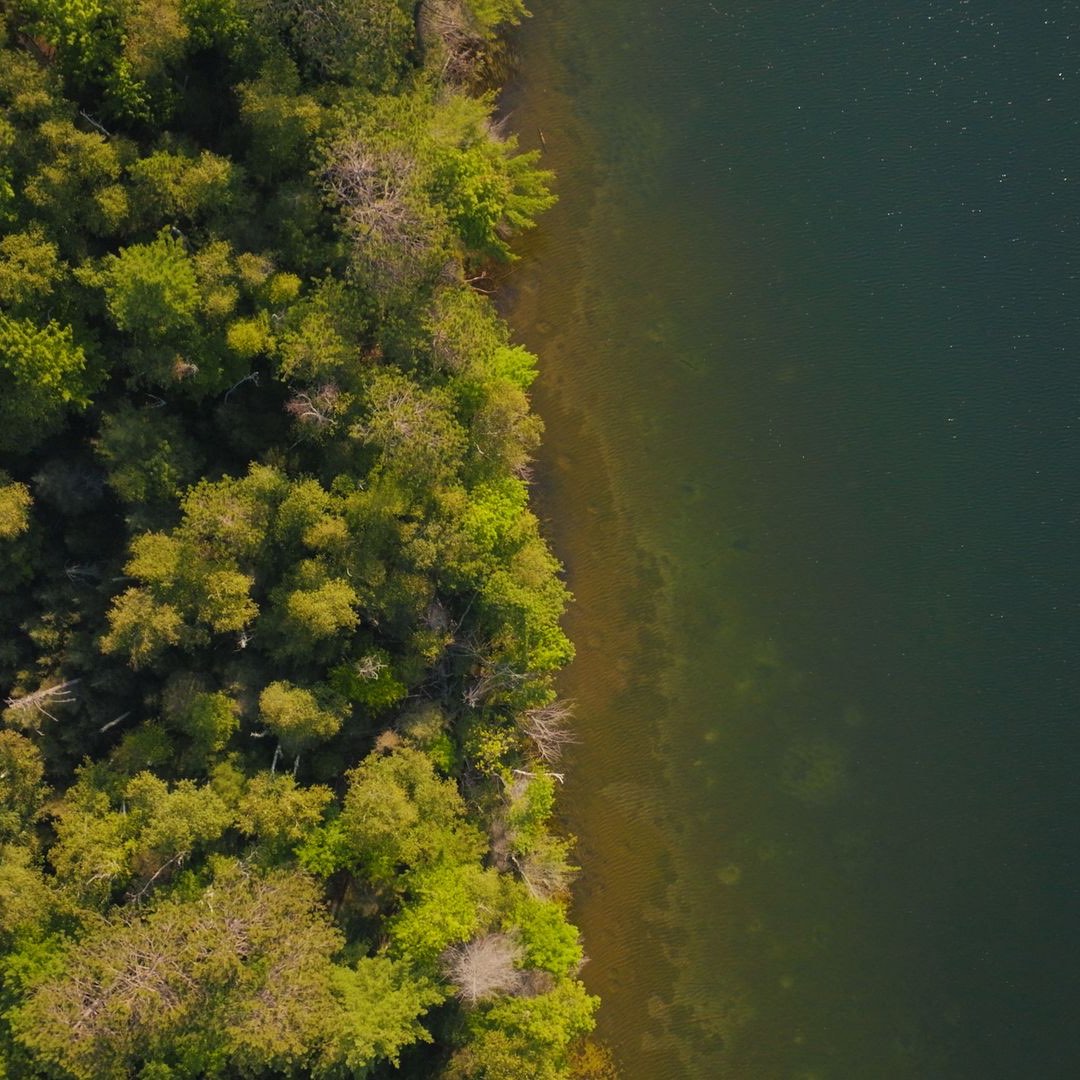 Woods to Lake Woods to Lake
