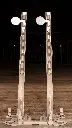 FALLING TREE TARGETS LOW RES-15.webp