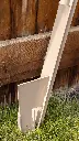FALLING TREE TARGETS LOW RES-25.webp