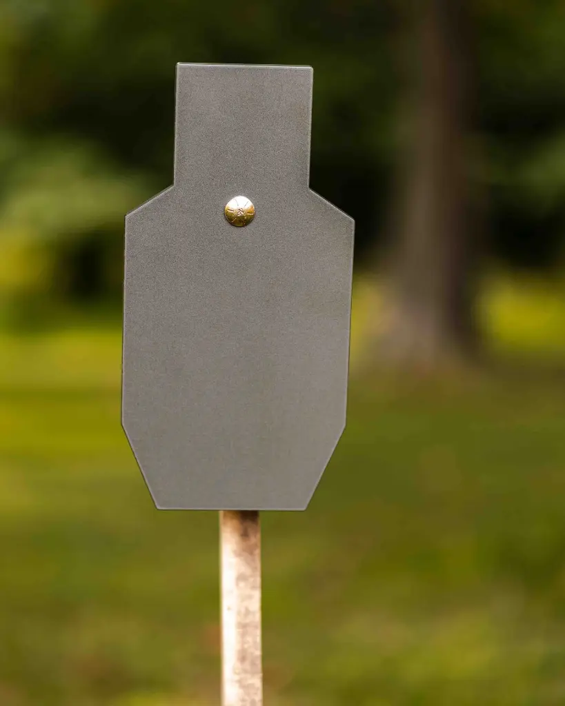 GENESIS STEEL TARGETS 4X5 LR-69.webp
