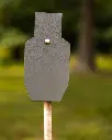 GENESIS STEEL TARGETS 4X5 LR-69.webp