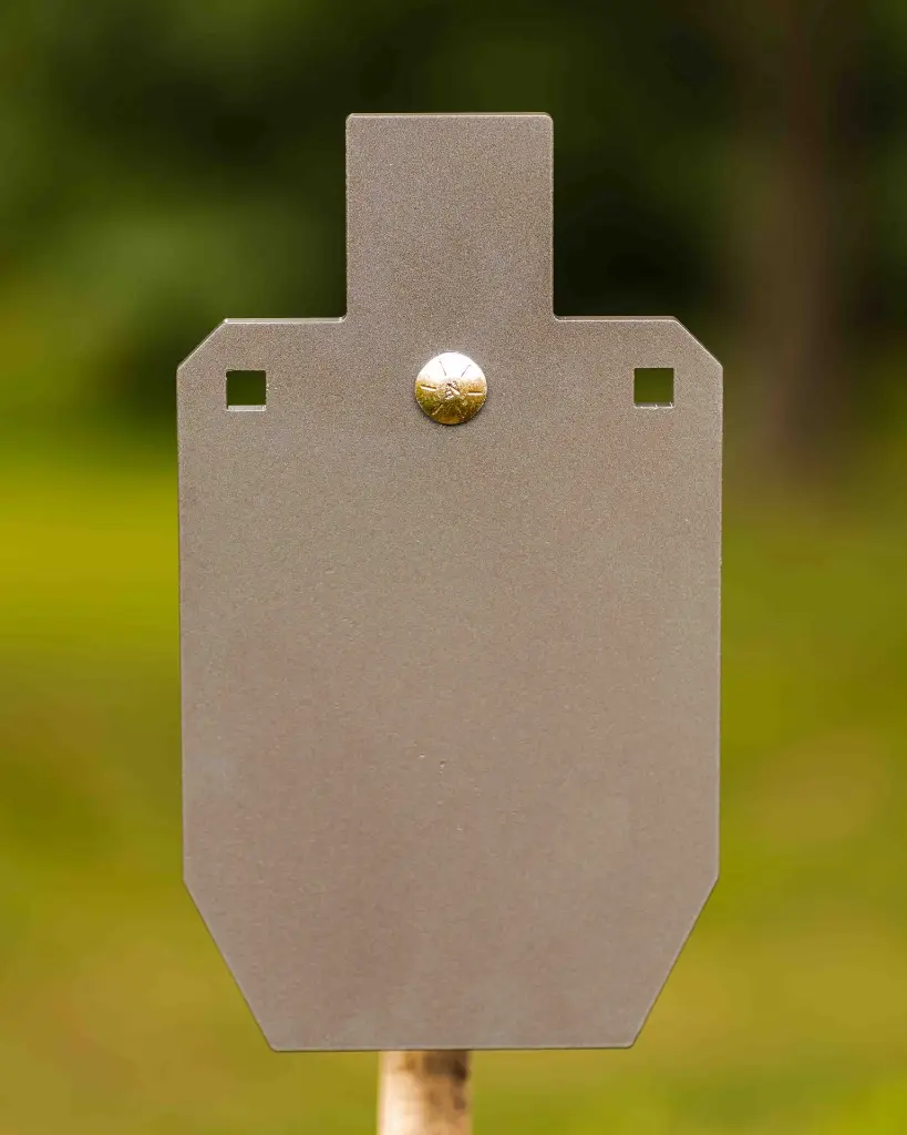 GENESIS STEEL TARGETS 4X5 LR-9.webp