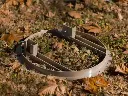 FALLING TREE TARGETS LOW RES-42.webp