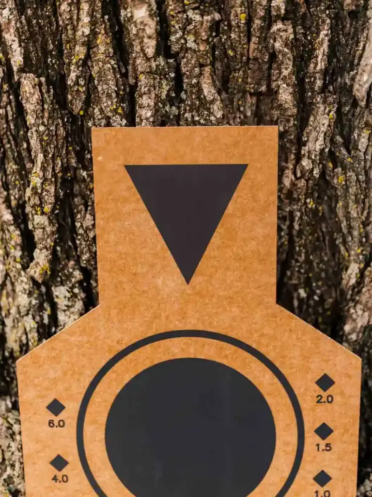 CB-CZ-V3 4X3 XLR-8.webp