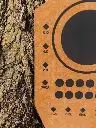 Rifle-Training-Target.webp