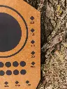 Paper-Target.webp