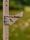 FRONT MOUNT T-POST MOUNT 4X3 XLR-16.webp