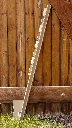 FALLING-TREE-TARGET-UPRIGHT.webp