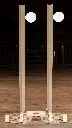 Double Falling Tree Target 