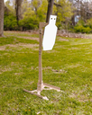 C ZONE STEEL TARGET (A-DAP SYSTEM)