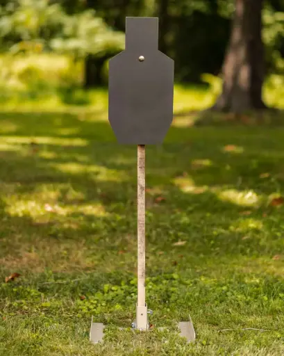 Genesis Steel Target System